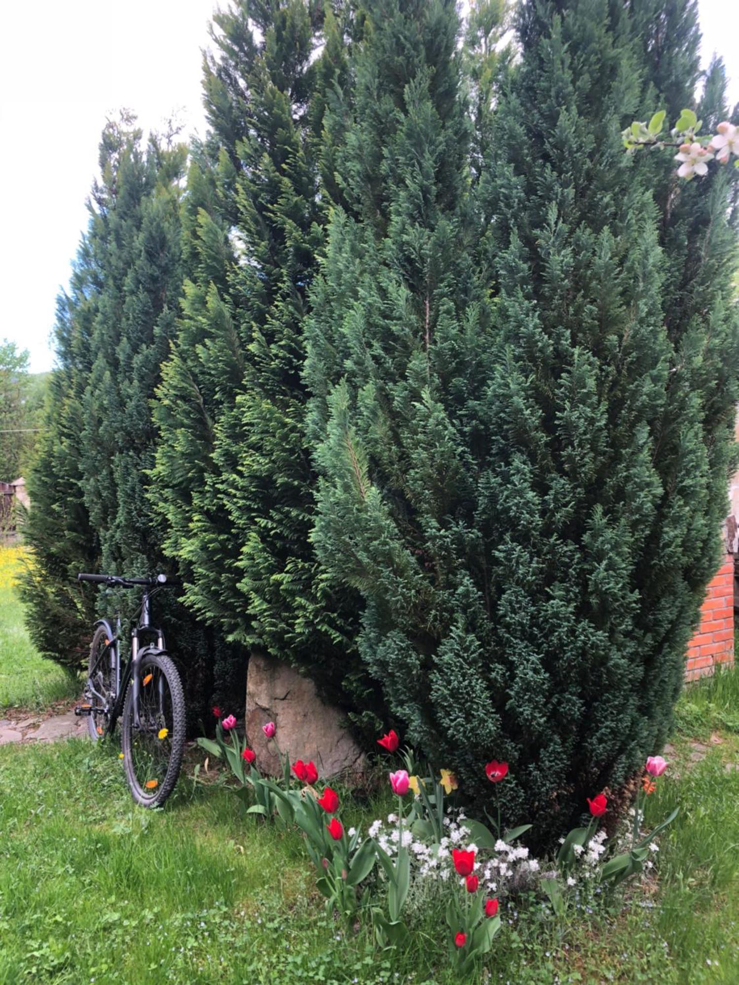 Котедж Гірський Yaremtche Extérieur photo