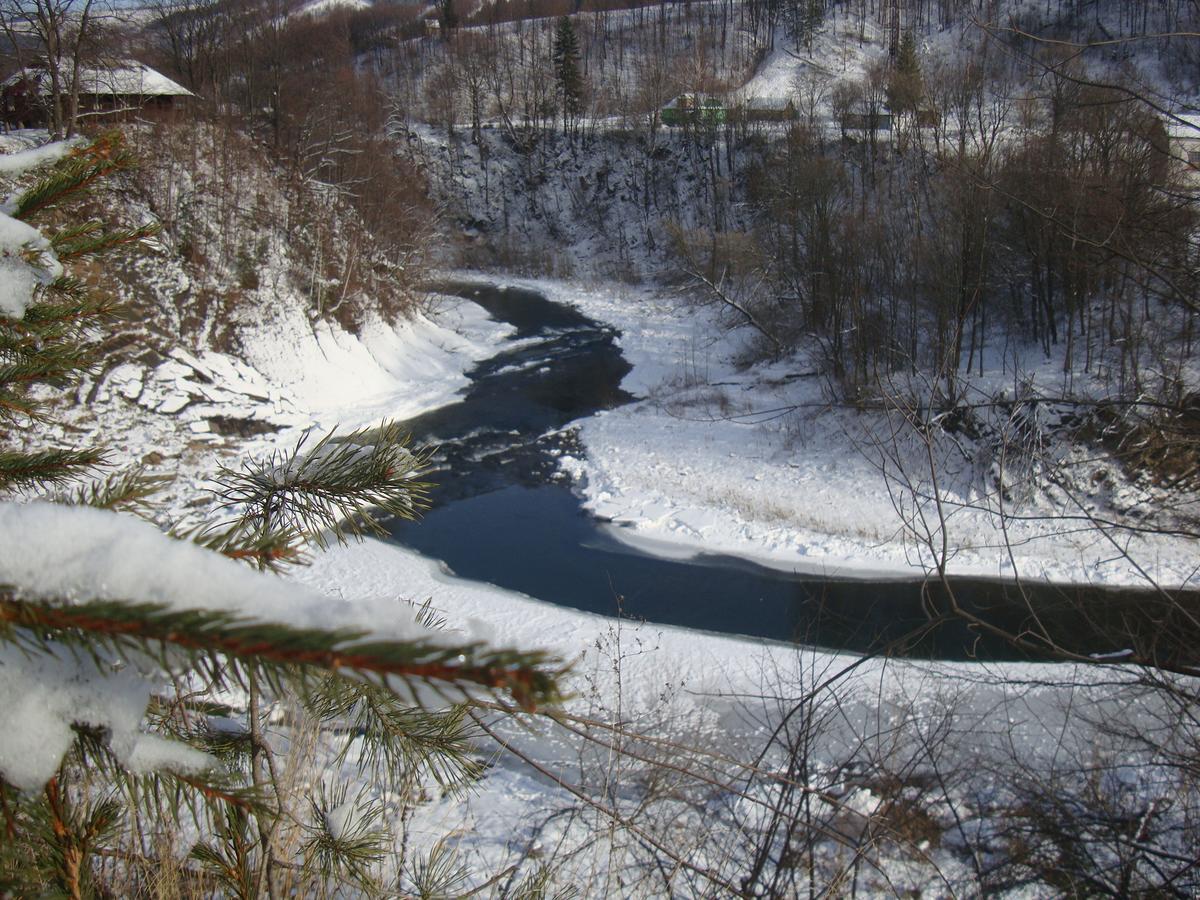 Котедж Гірський Yaremtche Extérieur photo